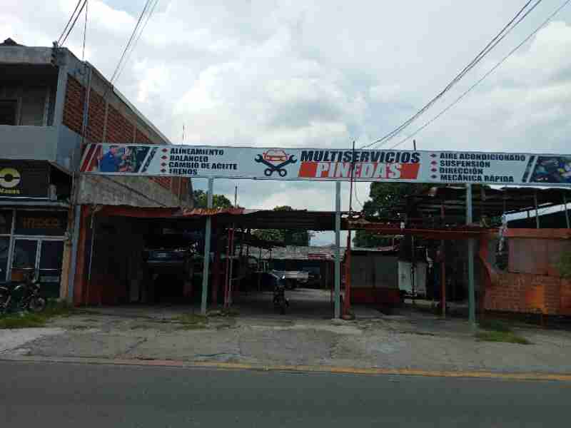 MULTISERVICIOS PINEDA S. DE R.L. (-)