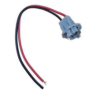 Piña de Foquito de Luz Interna