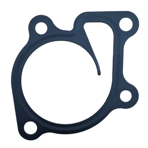 Empaque de Bomba de Agua