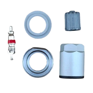 Juego de Servicio para Valvulas Tpms