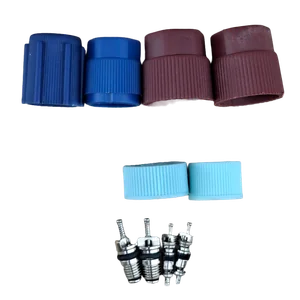 Centro de Valvula de Servicio