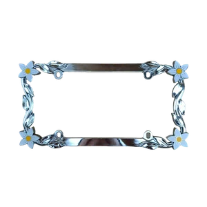 Placas y sus Accesorios